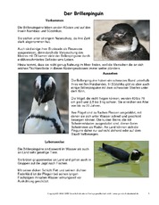 Brillenpinguin-Steckbrief.pdf